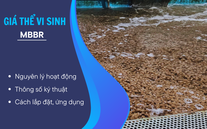 6 Điều Cần Biết Về Giá Thể Vi Sinh MBBR