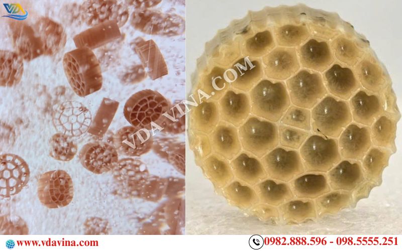 Tầm Quan Trọng Của Giá Thể Vi Sinh Trong Xử Lý Nước Thải