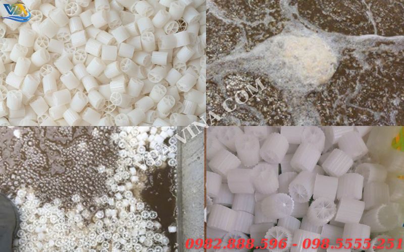 Vai trò của giá thể vi sinh trong xử lý nước thải như thế nào?