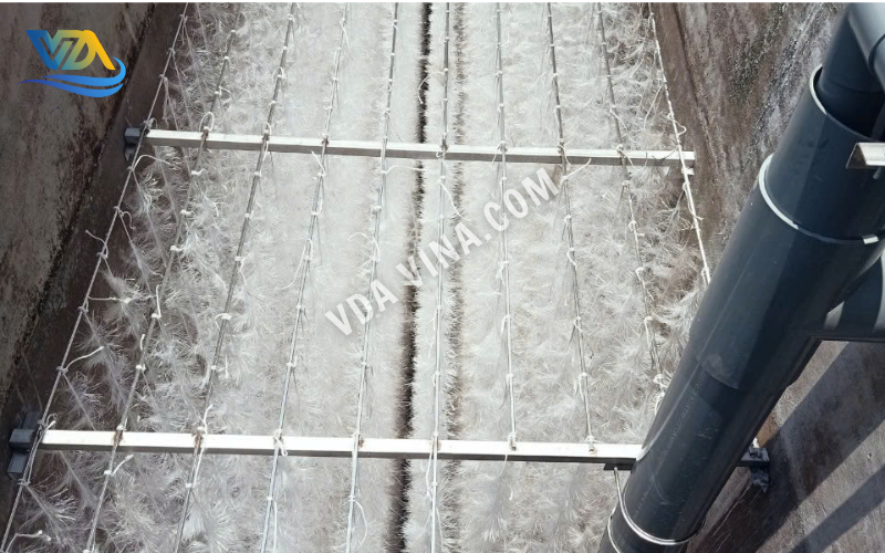 Vì Sao Nên Sử Dụng Giá Thể Vi Sinh Dạng Sợi Trong Xử Lý Nước Thải?