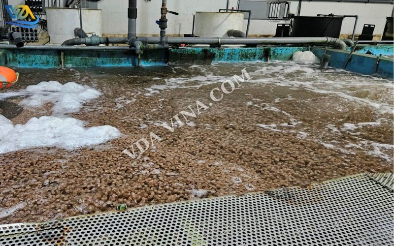 Xử Lý Sinh Học Trong Bể Hiếu Khí